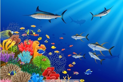多彩海洋生物的奇妙世界