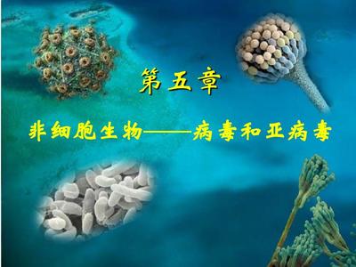 病毒与亚病毒 生物世界的跨界舞者