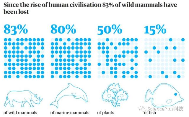 生物界的悖论 仅占0.01%的人类，如何灭绝了83%的物种？