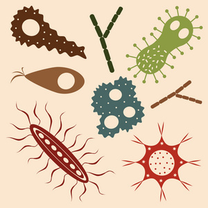 分析与对比 Seamlessbacteria 与两种生物模式——细菌与病毒