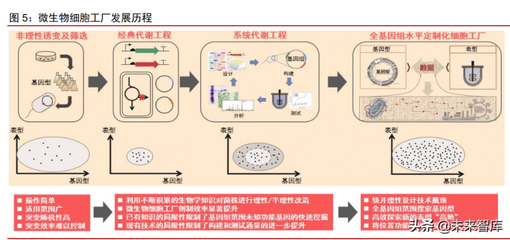 合成生物学行业专题报告:合成生物乘势而起,颠覆传统引领未来